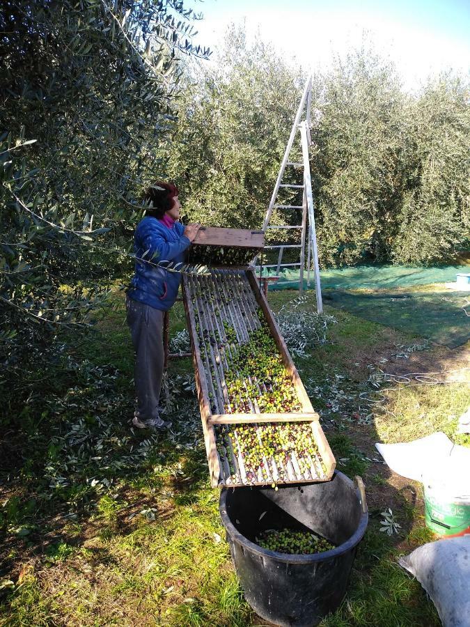 "Country House Il Brolo" Polpenazze del Garda Luaran gambar