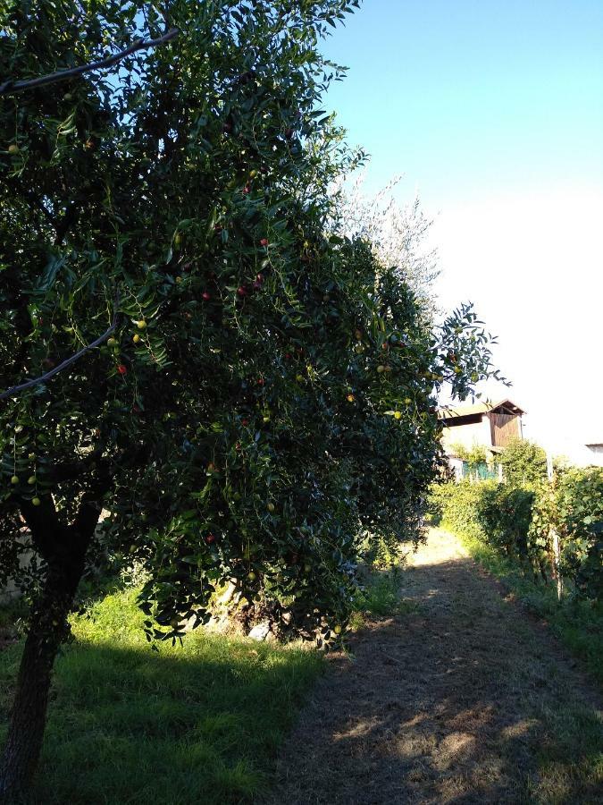 "Country House Il Brolo" Polpenazze del Garda Luaran gambar